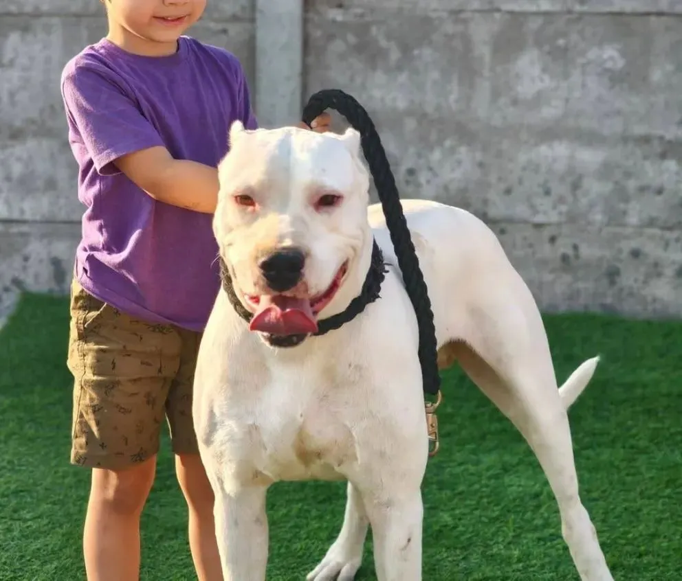 El padre logró obtener visitas semanales y pernoctes en su casa. (Foto: web)