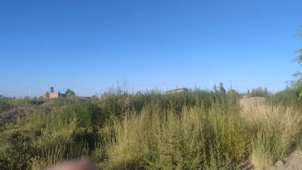 Desde Servicios Públicos remarcaron que muchos de los casos son reincidentes y que el valor que cobra el Municipio por el trabajo suele ser mas caro. Foto archivo