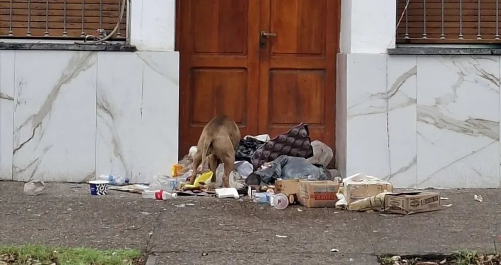 La imagen de un perro comiendo basura reflejó el hartazgo y el abandono en distintos barrios de la ciudad / foto gentileza Inforo