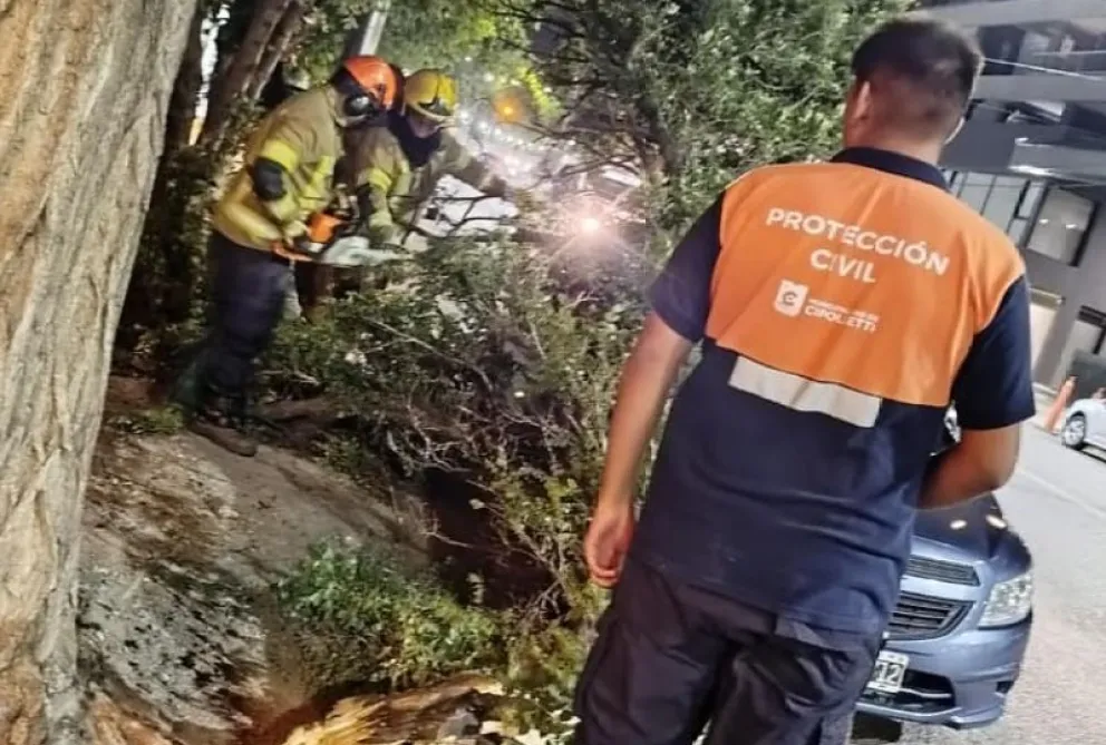 El viento provocó la caída de un árbol sobre la calle Mariano Moreno, en el barrio Arévalo. Foto: Prensa Municipalidad.