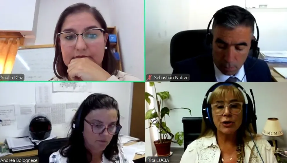 La audiencia de formulación de cargos se realizó mediante la plataforma virtual Zoom. Foto: captura de pantalla.