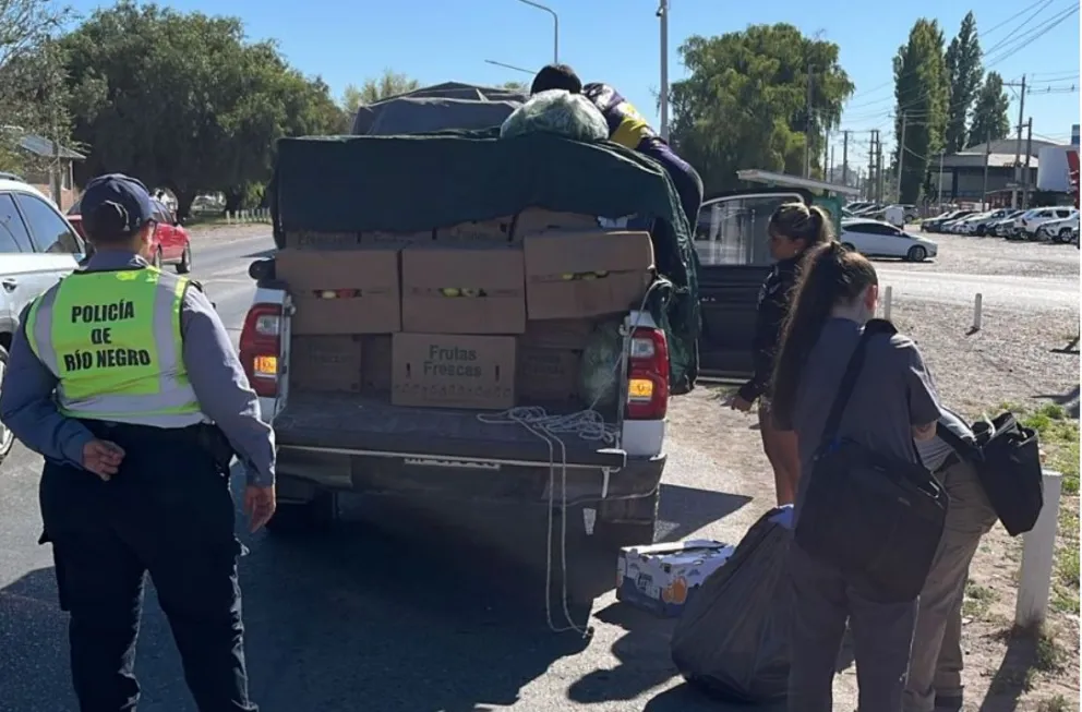 El procedimiento se realizó durante la mañana, frente al destacamento de Seguridad Vial. Foto: Policía de Río Negro.