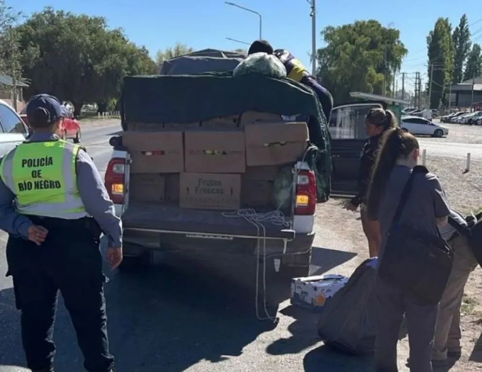 El decomiso de alimentos se realizó el lunes en Cipolletti. Foto gentileza