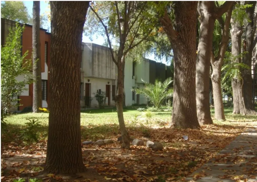 El exceso de humedad estaba deteriorando uno de los departamentos del barrio 12 de septiembre. Foto: archivo.