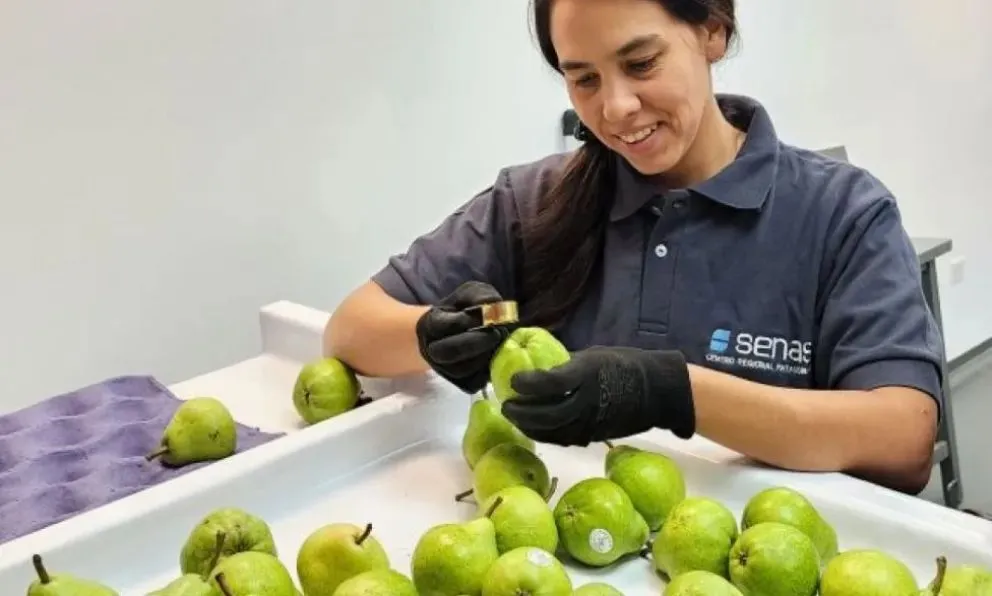 La Unidad, ubicada en el Depósito Fiscal y Aduanero de Centenario, Neuquén, opera con tecnología que permite el análisis en tiempo real. Foto gentileza SENASA