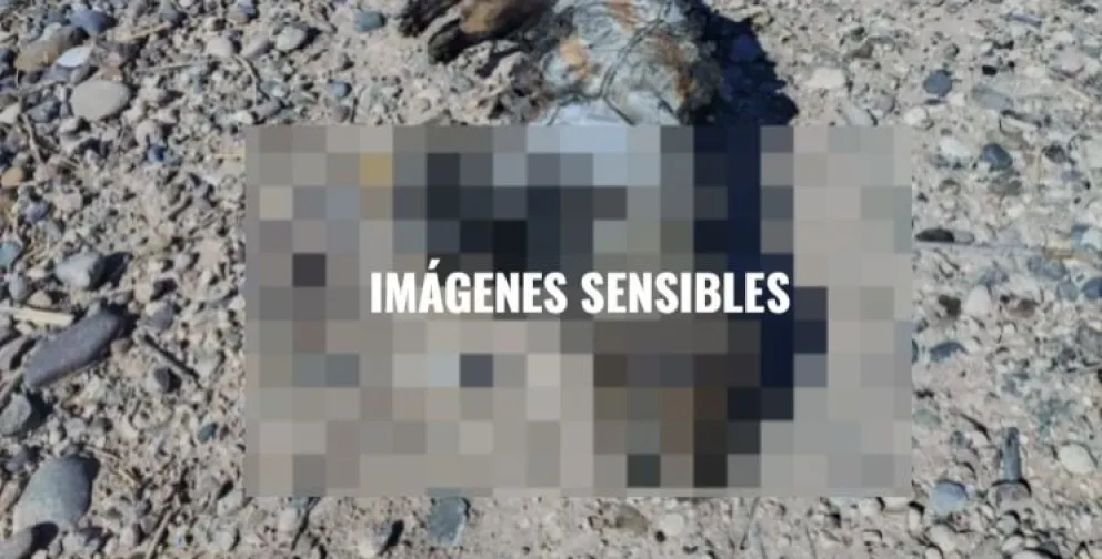 Alarma por la crueldad animal en Roca: investigan quién quemó a una perra. Foto redes sociales RANHU
