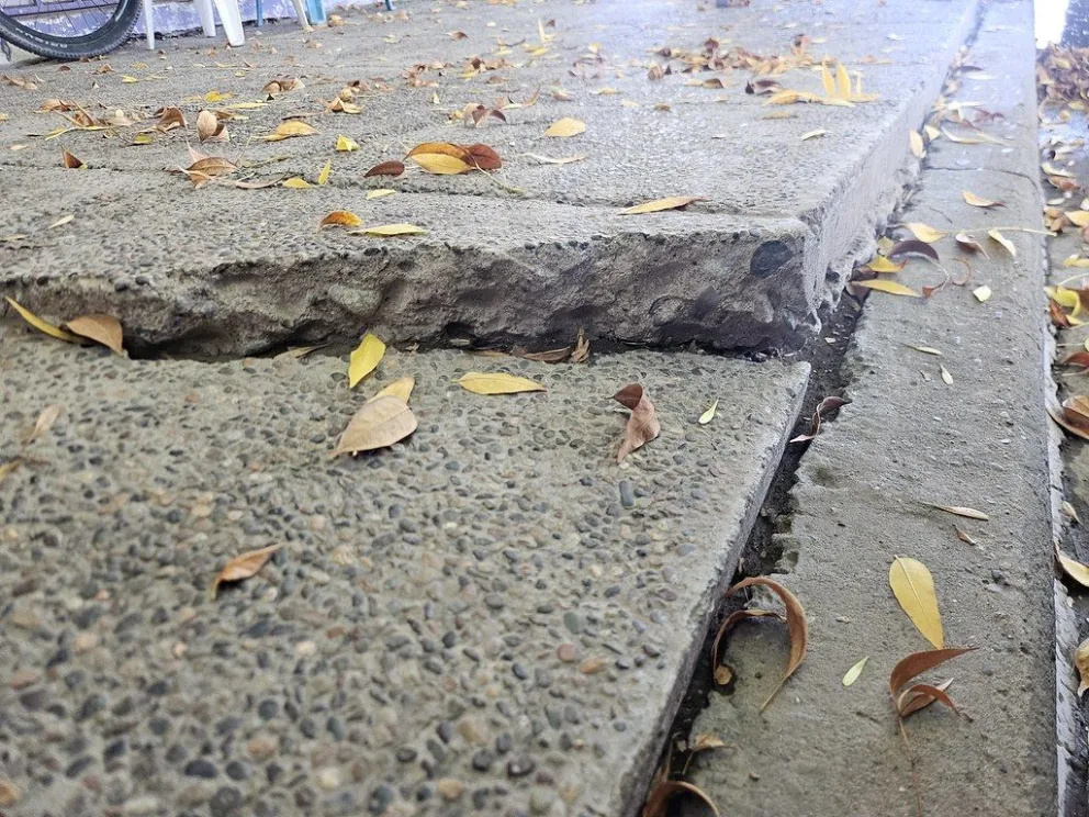 Las multas son automáticas y se aplican directamente con las tasas municipales a los propietarios / imagen gentileza