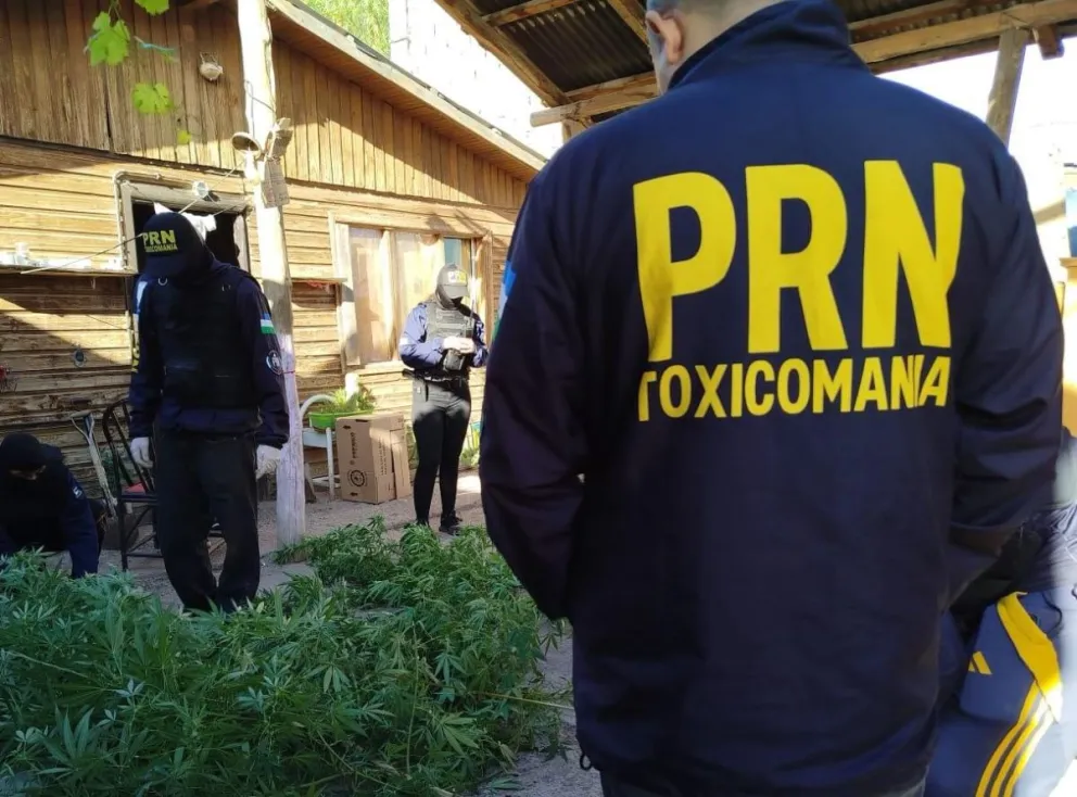 Como resultado del operativo, un hombre de 47 años y una mujer de 51 fueron imputados. Foto gentileza Prensa Policía