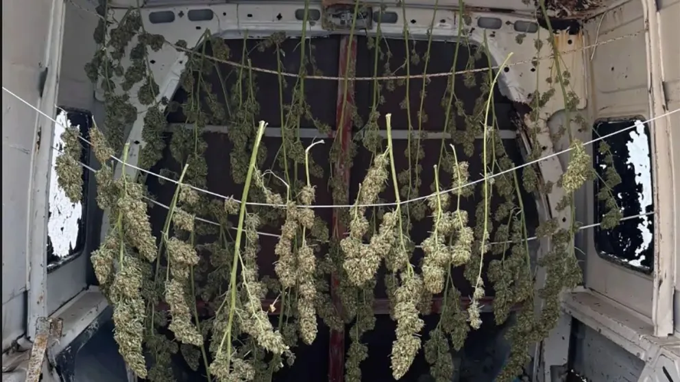 Sucedio gracias a un llamado al 0800-Drogas / imagen gentileza