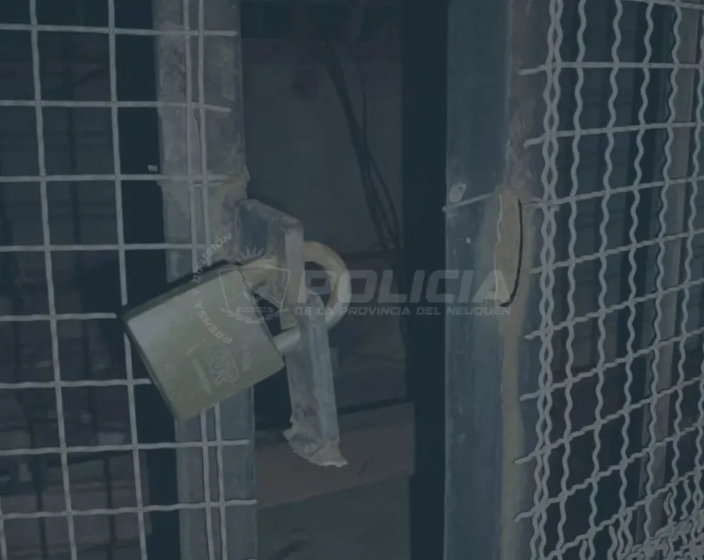 El delincuente fue demorado / imagen gentileza