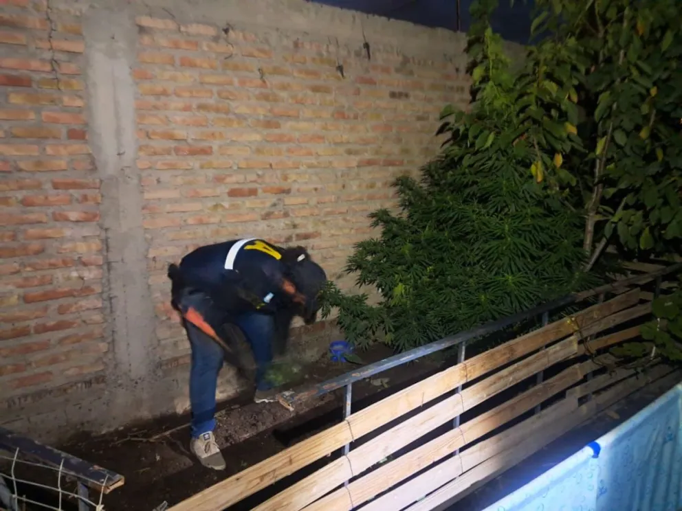 Los operativos se realizaron en los barrios Anai Mapu y 4 de agosto. Foto: Policía Federal.