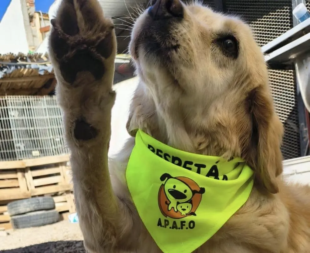 Cualquier aporte, por pequeño que sea, suma / gentileza inforo