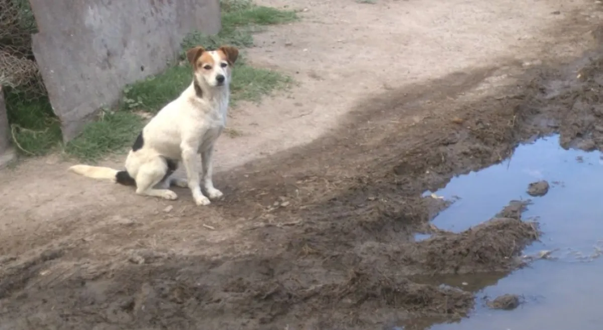 Los vecinos denuncian que hay filtraciones de agua en distintos puntos del barrio. Foto Guille Fernandez