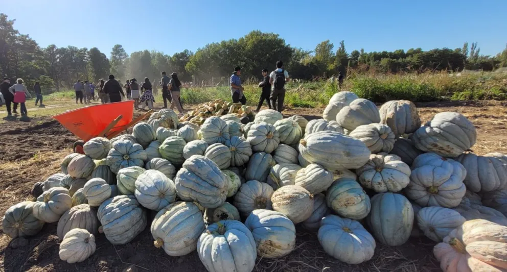 El trabajo forma parte de la formación académica de los estudiantes de Agronomía. Foto: gentileza.