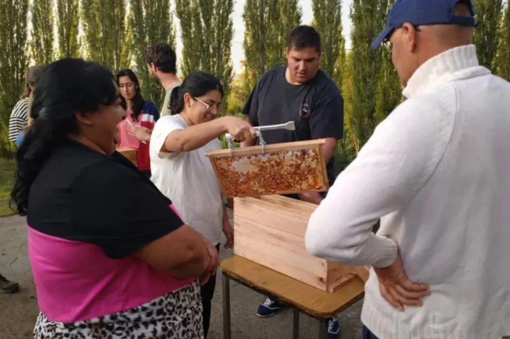La propuesta es impulsada por la Cámara Agraria local junto a la UNRN.