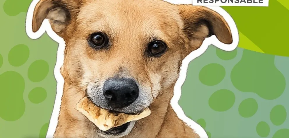 El evento contará también con el acompañamiento de la Feria de la Economía Social / imagen gentileza