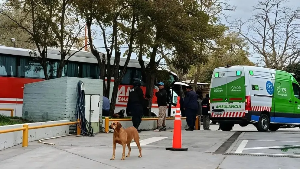 El Ministerio Público Fiscal tomó intervención / imagen gentileza