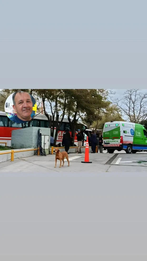 El Ministerio Público Fiscal tomó intervención / imagen gentileza