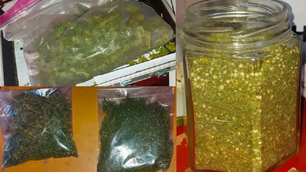 En el domicilio hallaron la caja con cogollos de marihuana y un frasco con semillas. Foto: Policía de Río Negro.