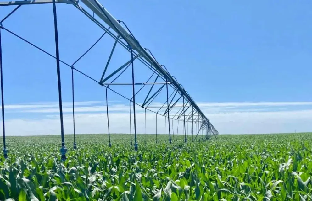 La formación en sistema de riego  se basa en el uso inteligente del agua y ampliar las capacidades productivas. Foto archivo