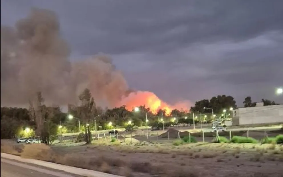 Las llamas arrasaron una superficie de cuatro hectáreas en la zona lindera al tercer puente. Foto: gentileza.