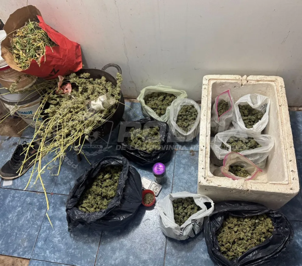 Buscaban a dos sospechosos de atacar a tiros a un hombre en Centenario: además, encontraron 2,7 kilos de marihuana y dos plantas de cannabis. Foto: Policía de Neuquén.