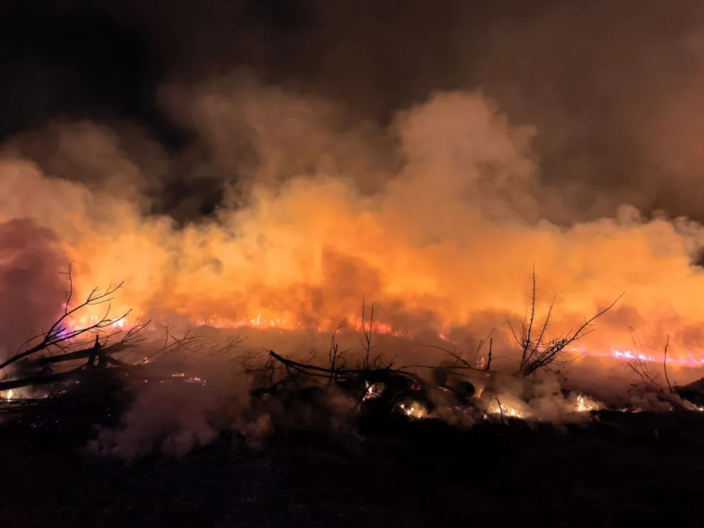 El incendio se produjo en una chacra, frente a un complejo de canchas de la calle Labraña. Foto: gentileza