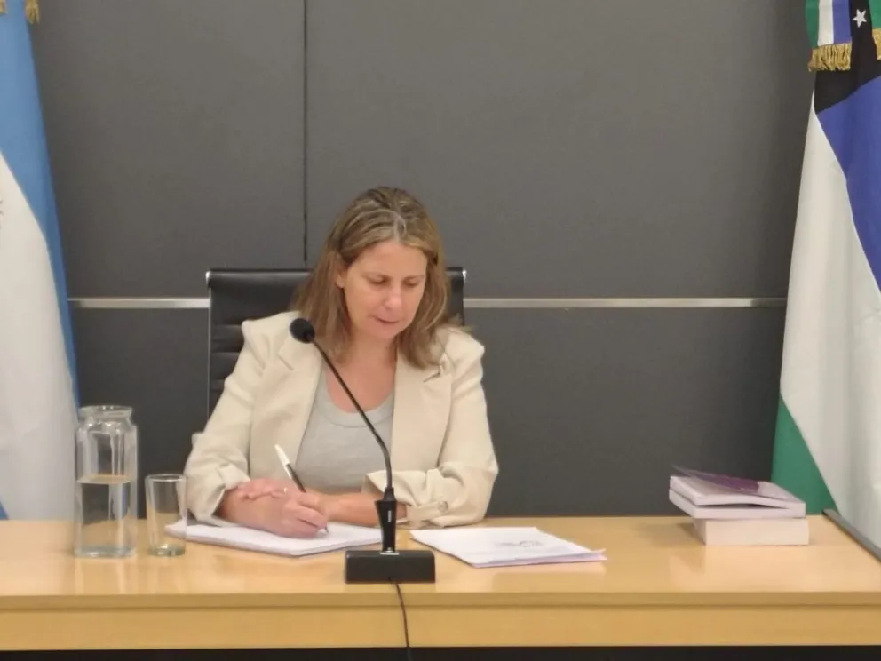 La justicia dicto las medidas cautelares contra el conductor de la Toyota Hilux / imagen cipo360