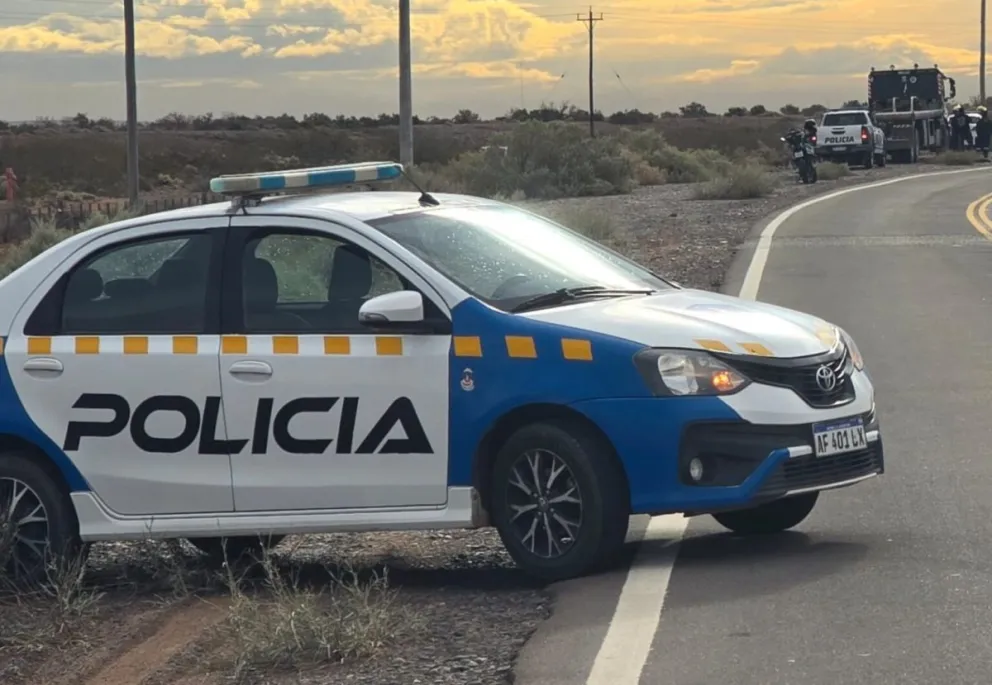 Los animales se cruzaron imprevistamente sobre la ruta y casi provocaron una tragedia. El tránsito estuvo cortado durante varias horas. Foto: gentileza.