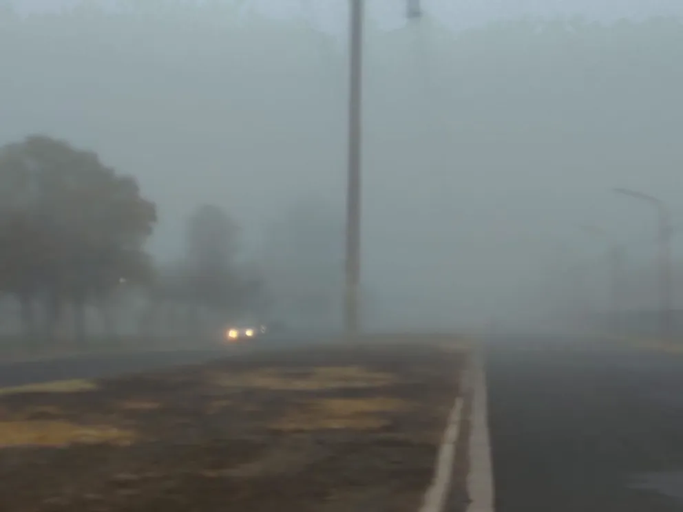 Disminuir la velocidad, luces bajas encendidas, mayor distancia entre vehículos: algunas recomendaciones al conducir con niebla. Foto: Cipo360.