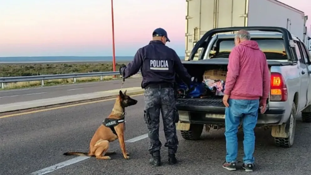 En los operativos intervinieron efectivos de diferentes unidades, la división de Toxicomanía y los perros entrenados de la Brigada. Foto: Prensa RN.