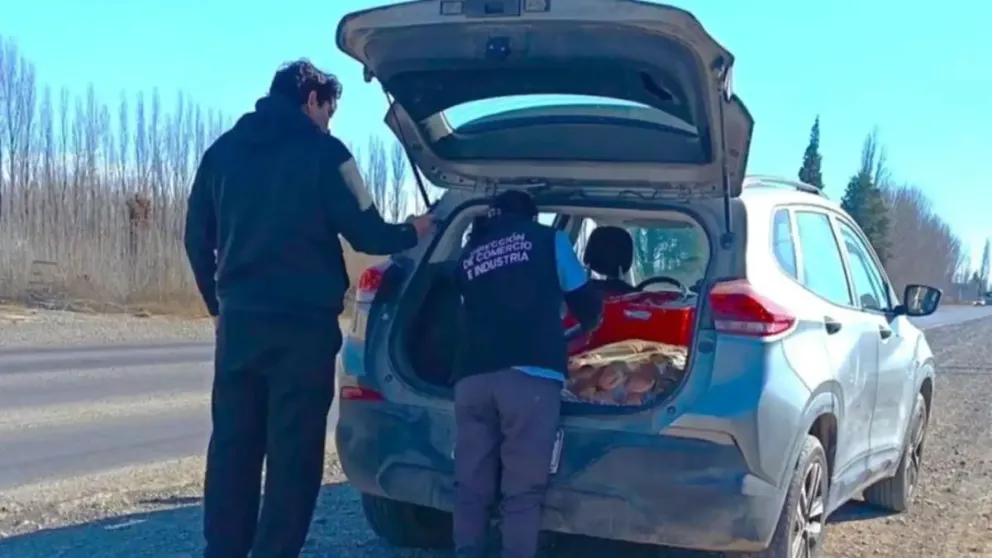El control se realizó en la ruta 151 y el conductor tenía alimento sin la habilitación correspondiente. Foto gentileza