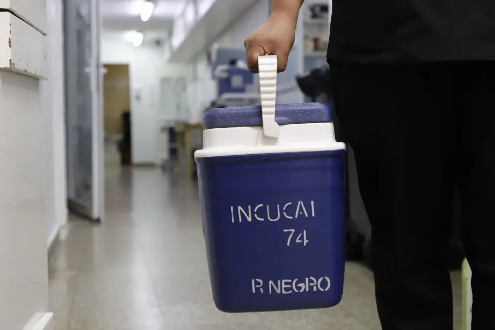 El equipo de la Unidad Hospitalaria de Procuración llevó adelante las tareas  / Foto: Gobierno de Río Negro