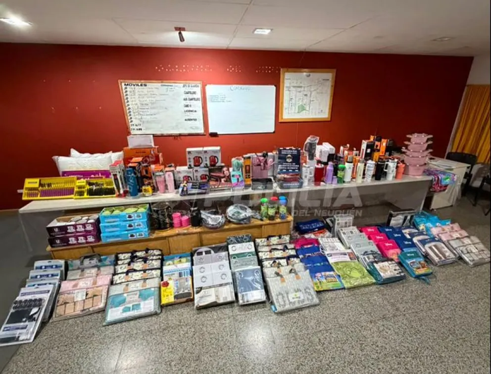 Los elementos secuestrados serán devueltos a su propietaria. Foto: Policía de Neuquén.