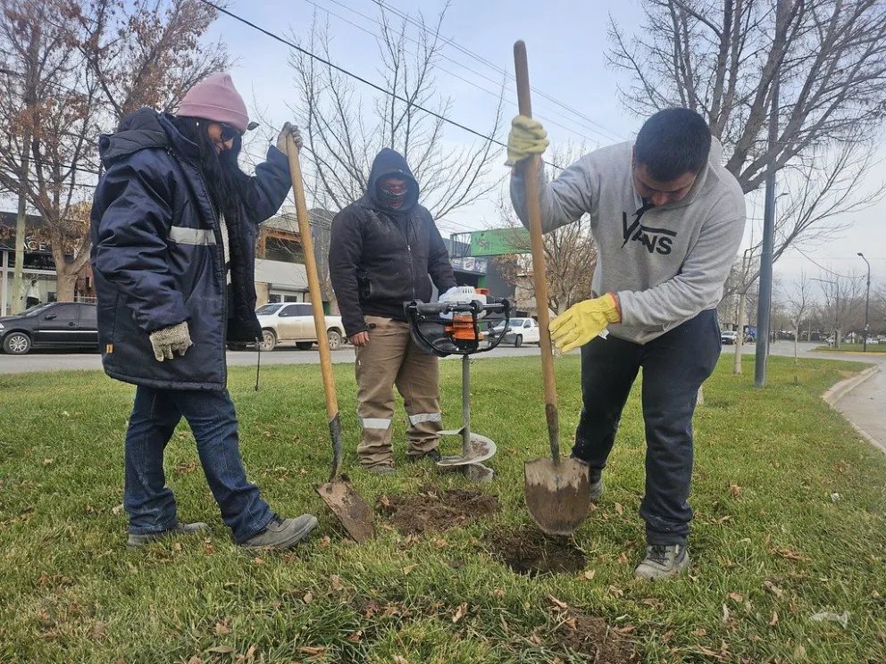 La municipalidad sigue con su plan de reforestación de espacios verdes. Es el turno del paseo aledaño al Centro de Artes Roberto Abel. Foto: Prensa Municipal