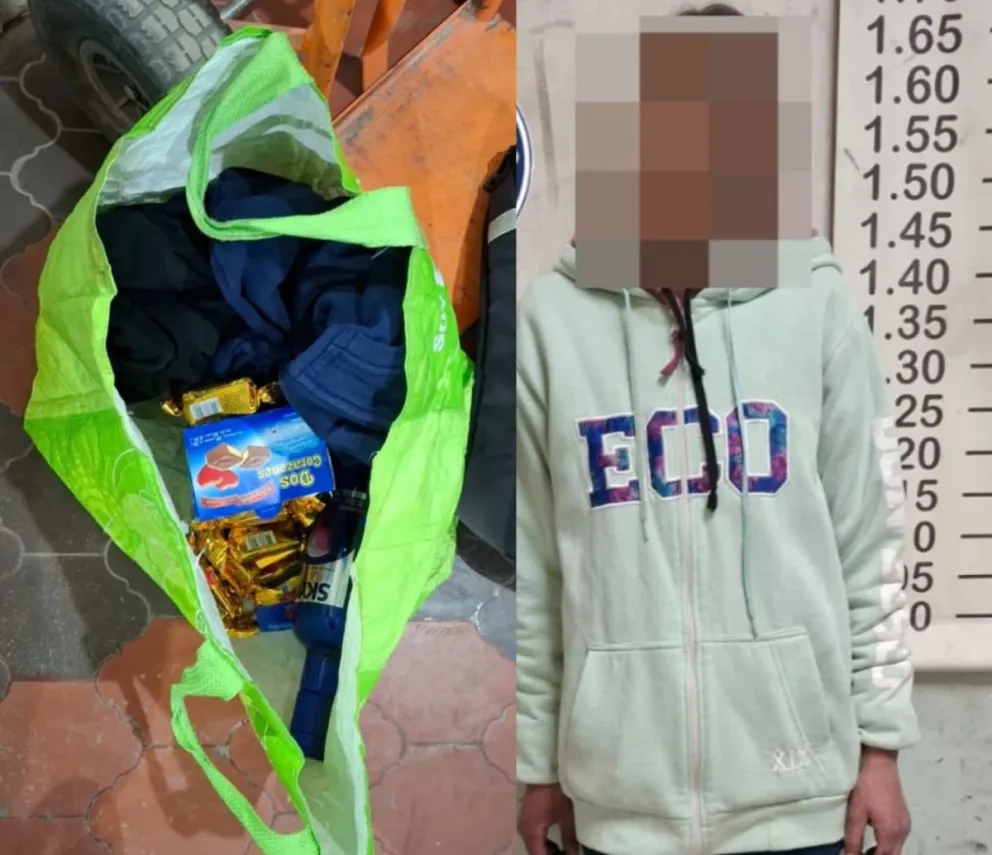 La mujer quedó detenida y la Justicia le dictó prisión preventiva. Foto gentileza