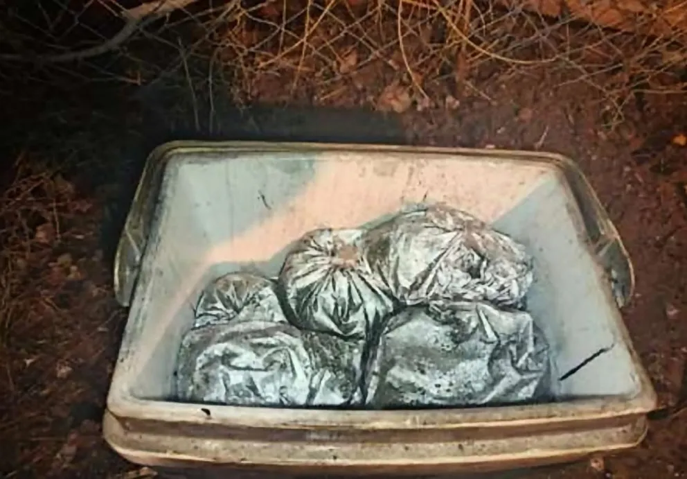 Los bomberos descubrieron la droga y las armas mientras sofocaban el incendio/ imagen gentileza