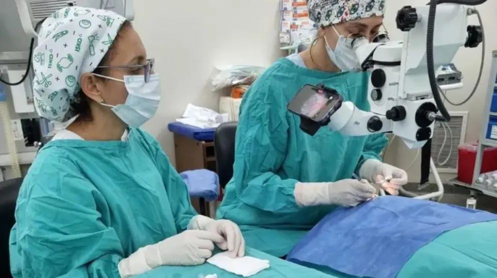 La unidad especializada en trasplantes de córneas comenzó a operar en 2020. Ya lleva 88 intervenciones. Foto: Prensa Provincia.