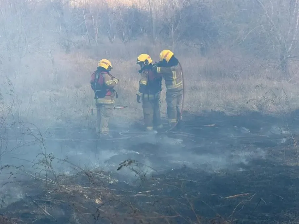 Bomberos de Cipolletti y Cinco Saltos trabajaro en el lugar para controlar los focos. Foto LMCipolletti