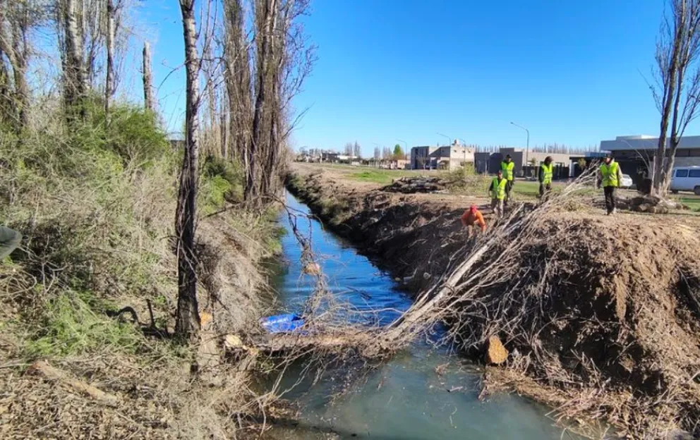 El municipio y el Consorcio de Regantes coordinarán acciones para la limpieza del Canal de los Milicos.