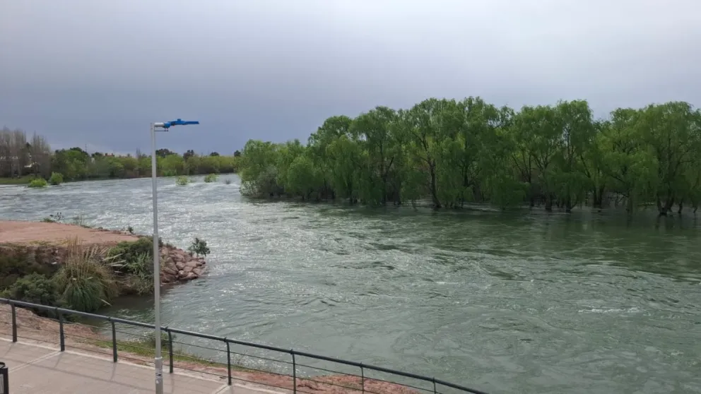 En su último tramo el río Neuquén trae 500 m3/seg. Los municipios ribereños fueron advertidos del incremento de caudal, aunque no se esperaba afectación de los barrios ribereños.  Foto: Daniela Luján, Cipo 360.