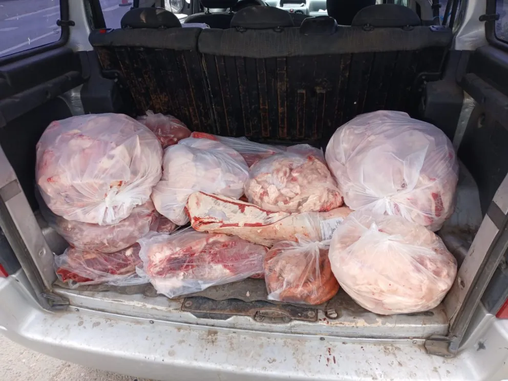 Los productos cárnicos eran trasportados sin refrigeración y en malas condiciones de conservación. Foto: Gentileza Seguridad Vial.