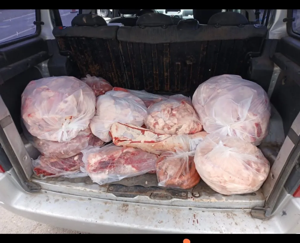 El cargamento de productos cárnicos fue detectado durante un control / imagen gentileza