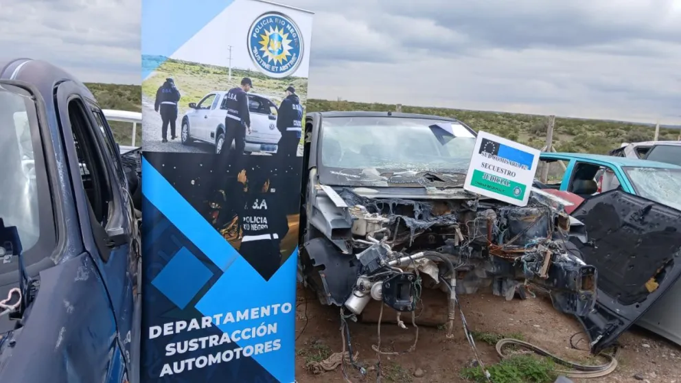 Se  detectaron e incautaron cinco rodados que tenían pedido de secuestro por robo. Foto gentileza Prensa policía de Río Negro