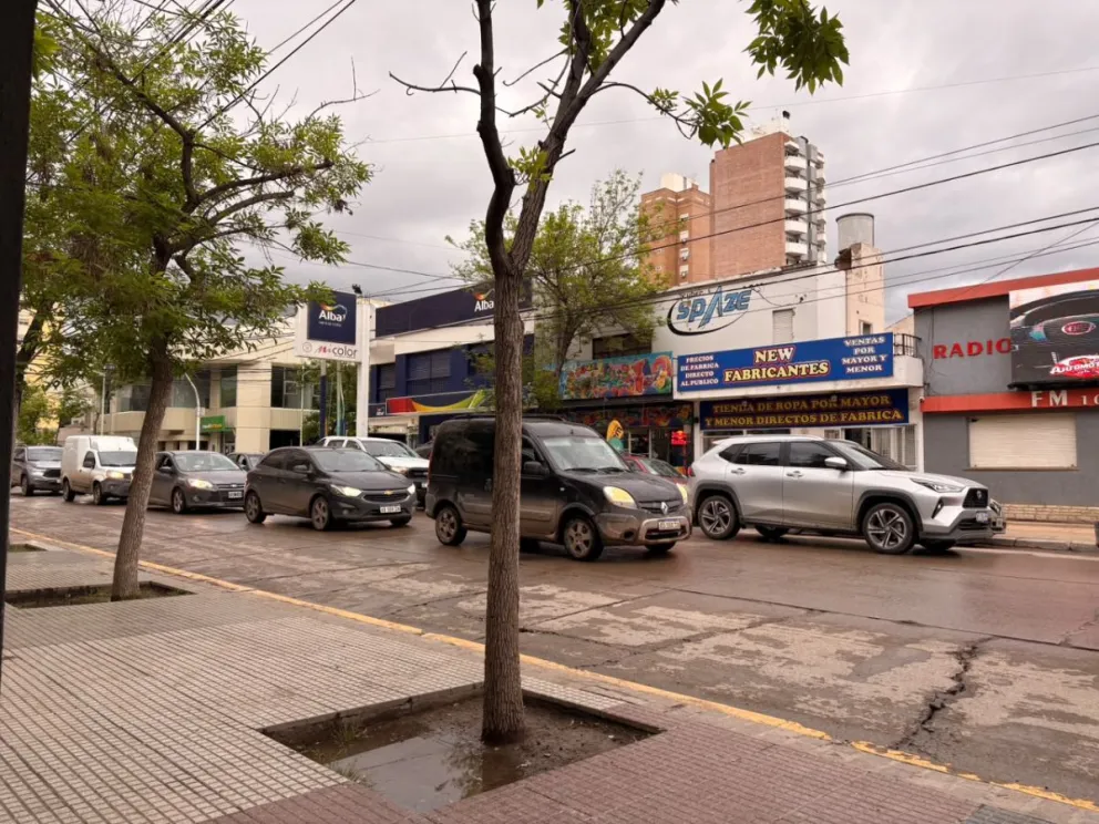 Foto cipo360